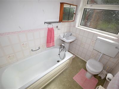 Picture 11